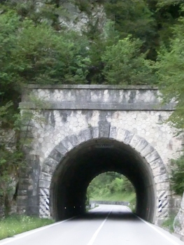Tunnel de Sasso Tagliato