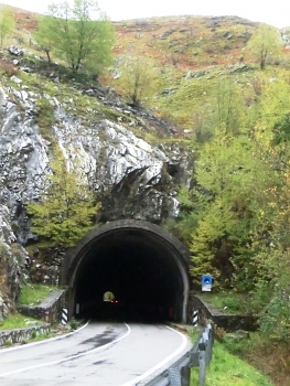 Tunnel de Arni