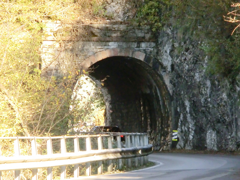 Rescia Tunnel