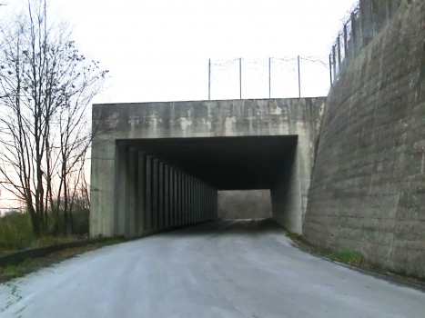 Tunnel Montemitro