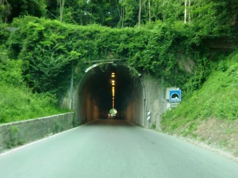 Crenna Tunnel southern portal