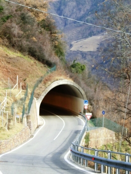 Tunnel Cologna
