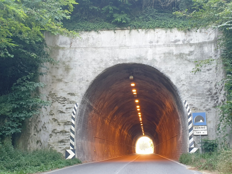 Tunnel de Sarino