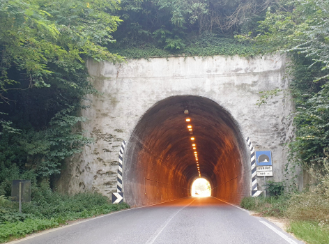 Tunnel de Sarino