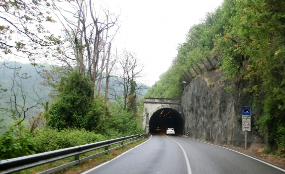 Villa Maria Tunnel northern portal