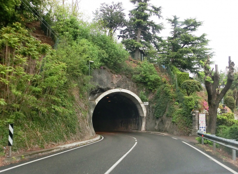 Villa Maria Tunnel southern portal
