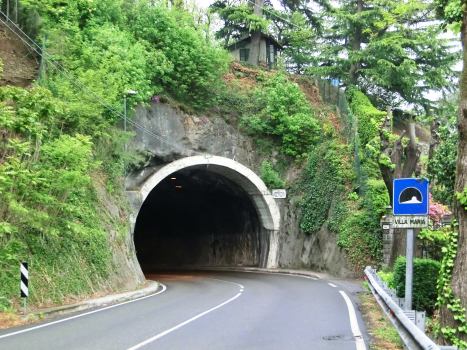 Villa Maria Tunnel southern portal