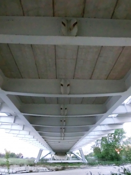 SP181 San Giovanni Paolo II Bridge