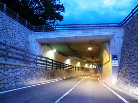 Tunnel Santer