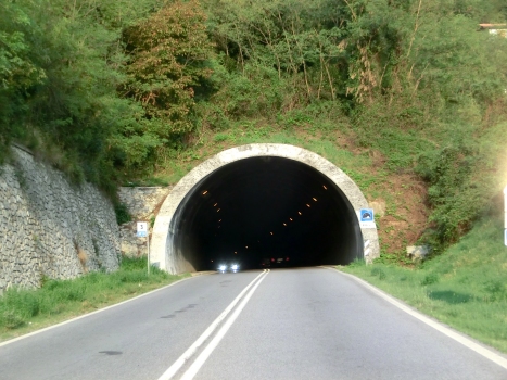 Stella Tunnel western portal