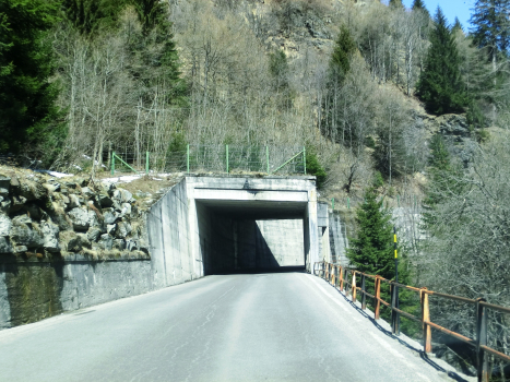 Bosco Piotta I Tunnel southern portal