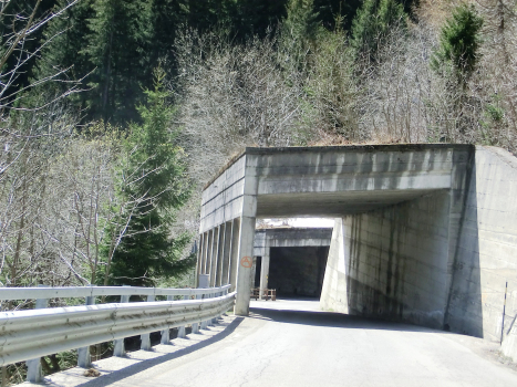 Tunnel Bosco Piotta II