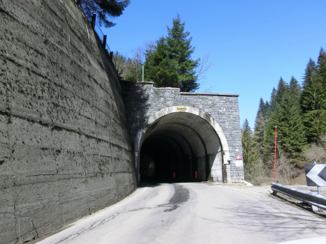 Vendula Tunnel southern portal