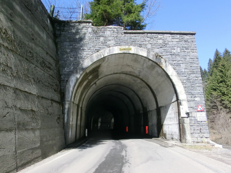 Vendula Tunnel southern portal