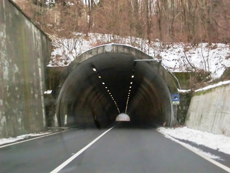 Crocemosso Tunnel western portal