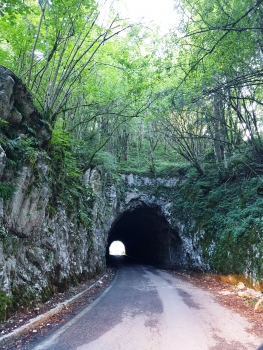 Molassa Tunnel eastern portal