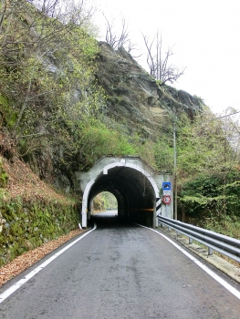 Bogliano Tunnel southern portal