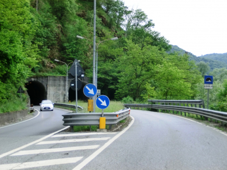 Azoglio Tunnel eastern portals