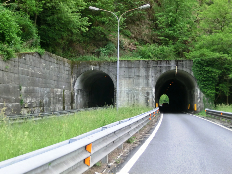 Azoglio Tunnel eastern portals