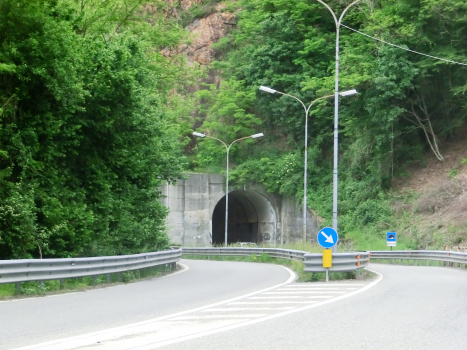 Azoglio Tunnel western portals