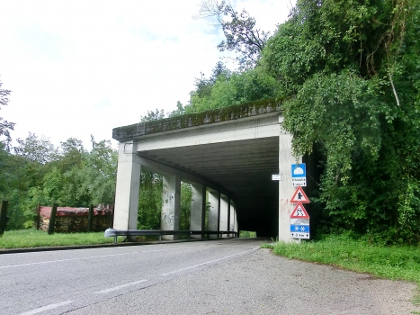 Tunnel de Chiaulis