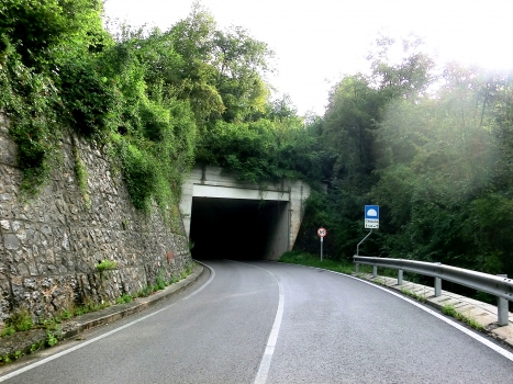 Chiaulis Tunnel southern portal