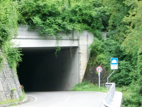Tunnel de Chiaulis