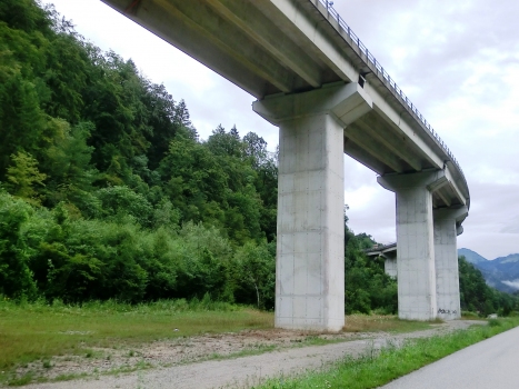 Hangbrücke Dinquan
