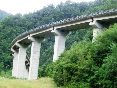 Hangbrücke Dinquan