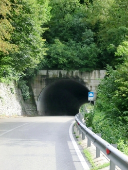 Lambrugno Tunnel southern portal
