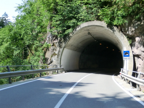 Castelrotto-Ponte Gardena I Tunnel eastern portal