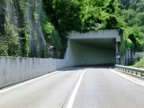 Castelrotto-Ponte Gardena II Tunnel