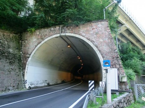 Castelrotto-Ponte Gardena IV Tunnel northern portal
