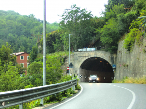 Tunnel de Ponte Gaggia