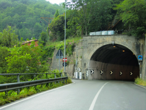 Ponte Gaggia Tunnel