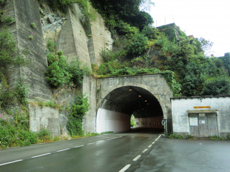 Ponte Gaggia Tunnel