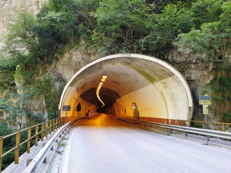 Bus del Colvera I Tunnel northern portal