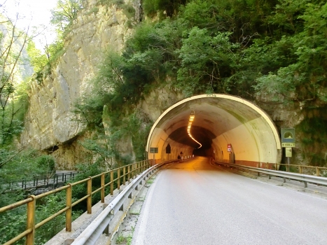 Tunnel Bus del Colvera I