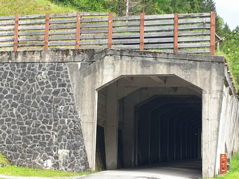 Malga Boazzo V-Tunnel