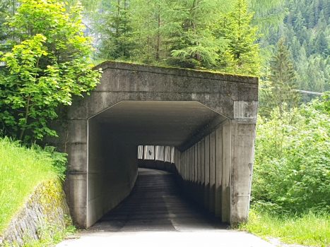 Malga Boazzo VI-Tunnel