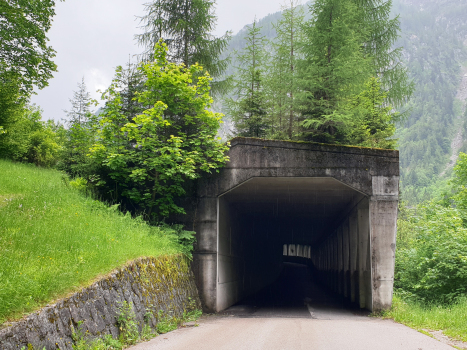 Malga Boazzo VI Tunnel