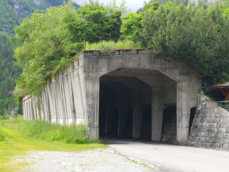 Malga Boazzo VI Tunnel