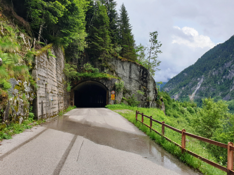 Malga Boazzo VII Tunnel