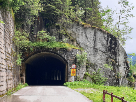 Tunnel de Malga Boazzo VII