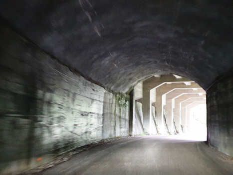 Malga Boazzo VII-Tunnel