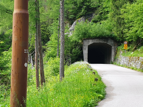 Malga Boazzo VII Tunnel