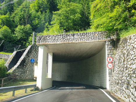 Rio Pasten Tunnel