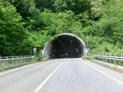 Fugona Tunnel southern portal
