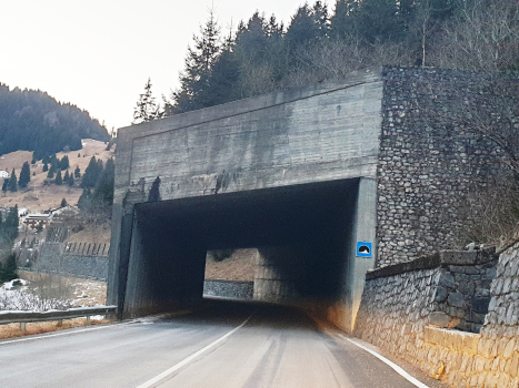 Bosco della Costa I Tunnel eastern portal