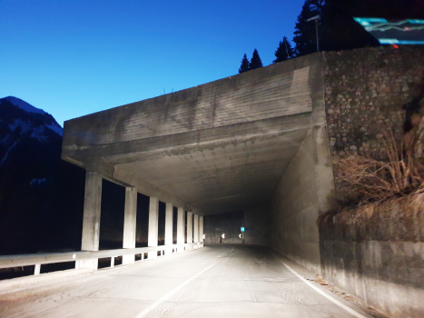 Tunnel Bosco della Costa II